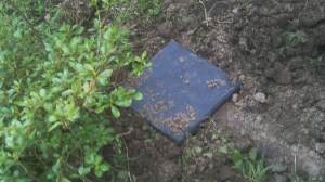 This false slate covers the  seep pot in my new system 