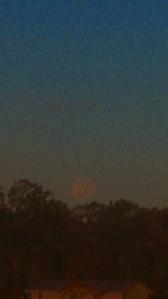 Policies come and go but we all see the heavens and can dream and see visions.