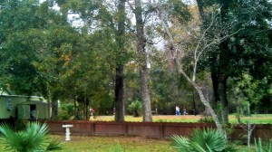 The course and the racers were visible from most sides of my home. This is across the back fence and some family land.